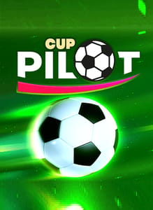 Pilot Cup